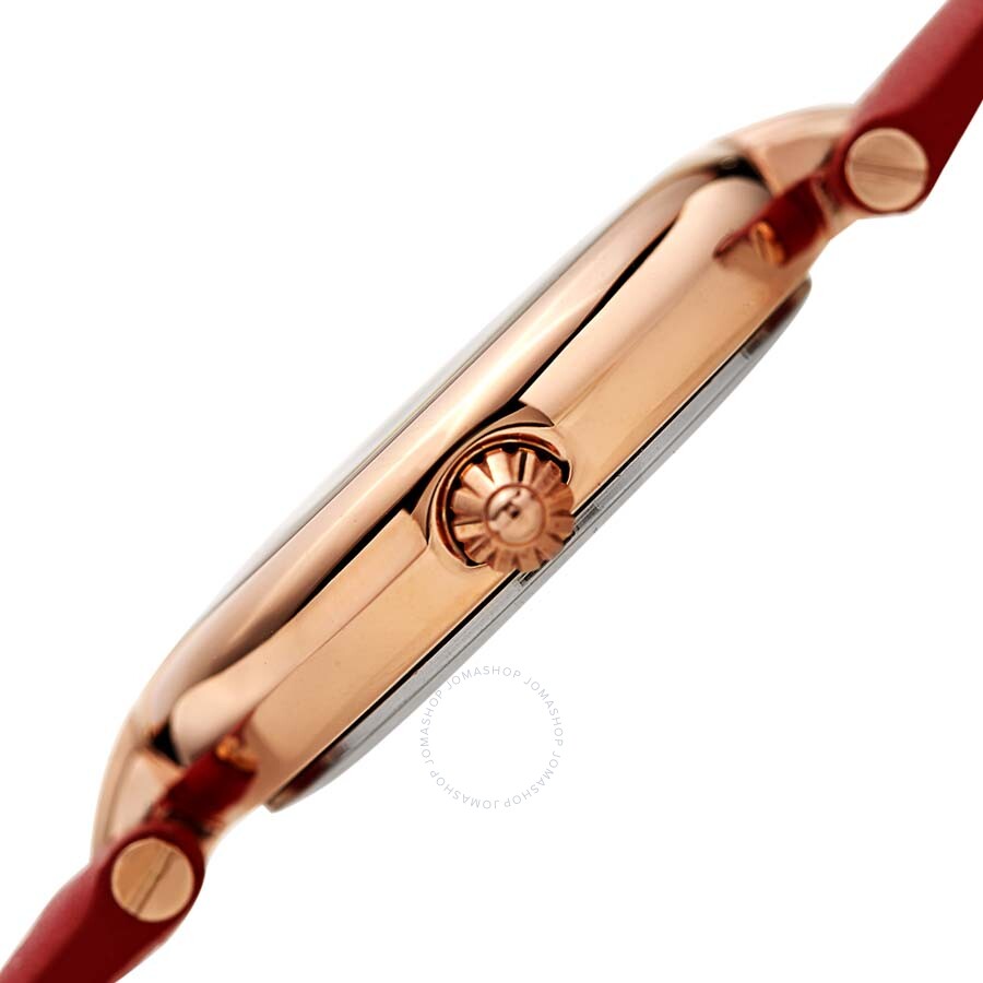 Burgi Glitter Ombre Swarovski Crystal Dial Ladies Watch - Dawson Watches #3