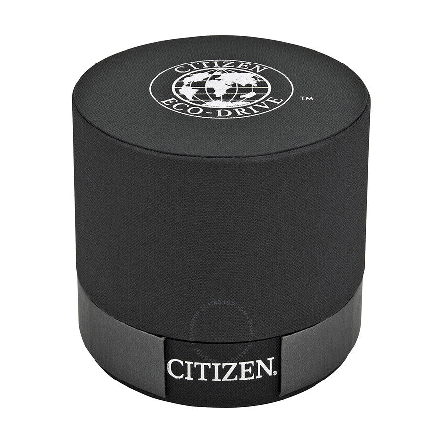 Citizen Calibre 8700 Eco-Drive Perpetual Calendar Men's Watch BL8000-54L - Dawson Watches #4