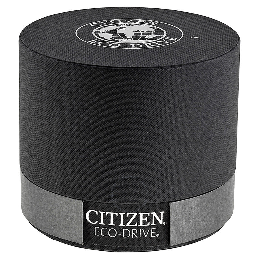 Citizen Eco-Drive Silver Dial Black Leather Men's Watch AO9000-06B - Dawson Watches #4