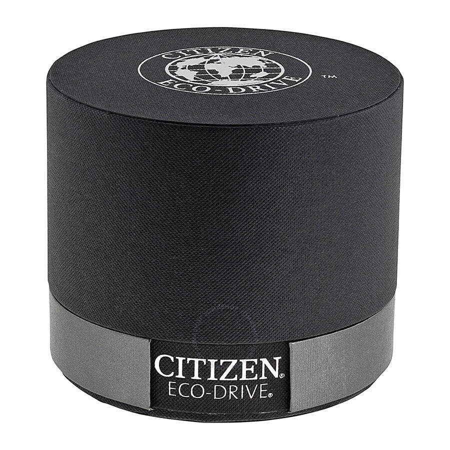 Citizen Eco-Drive Silhouette Ladies Watch EW1540-54A - Dawson Watches #4