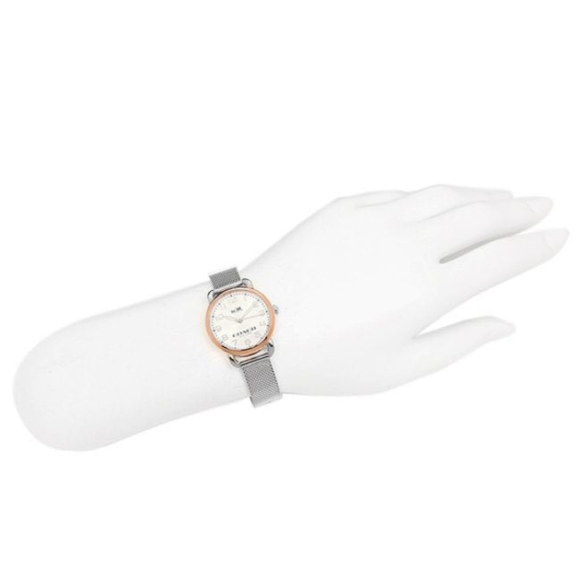 Coach Delancey Silver Dial Stainless Steel Mesh Ladies Watch 14502246