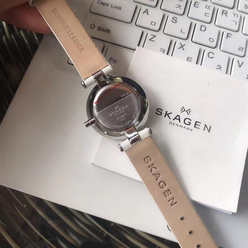 Skagen Tanja Silver Dial Brown Leather Ladies Watch SKW2514