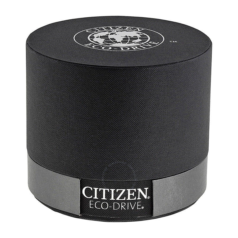 Citizen Calibre 8700 Eco-Drive Perpetual Calendar Men's Watch BL8004-53E - Dawson Watches #4