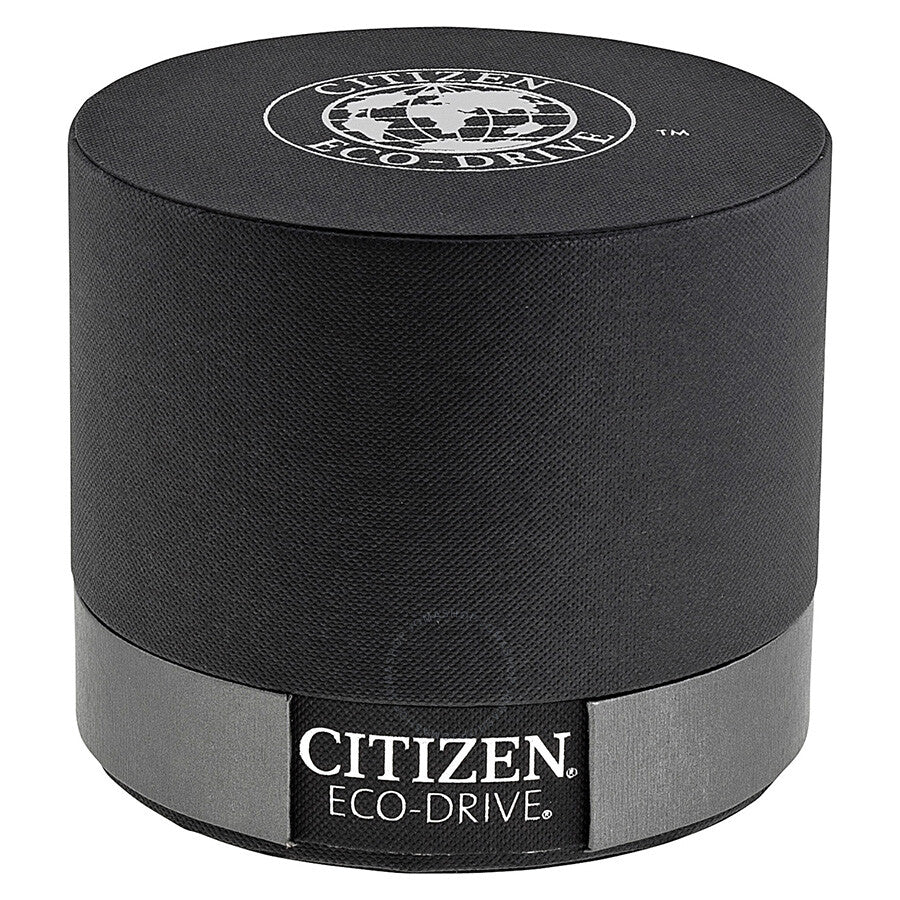 Citizen Eco-Drive Perpetual Calendar Chronograph Men's Watch BL5250-02L - Dawson Watches #4