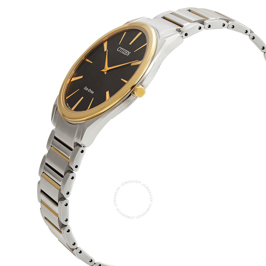 Citizen Eco-Drive Black Dial Two-tone Men's Watch AR3078-88E - Dawson Watches #2