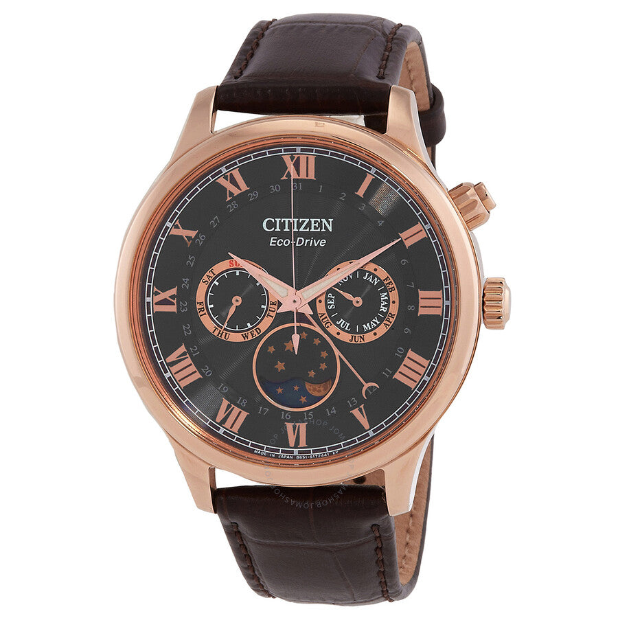 Citizen Moon Phase Eco-Drive Black Dial Men's Watch AP1059-19E - Dawson Watches