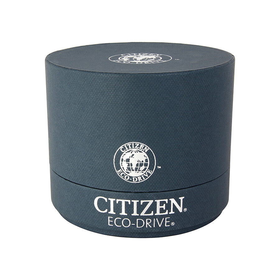 Citizen Perpetual Calendar Eco-Drive Chronograph Black IP Stainless Steel Men's Watch BL5478-55E - Dawson Watches #4