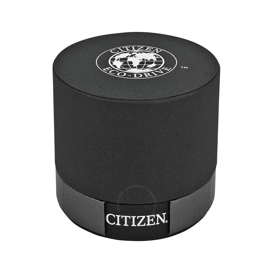 Citizen Perpetual Chrono A-T Eco-Drive Titanium Chronograph Men's Watch AT4010-50E - Dawson Watches #4