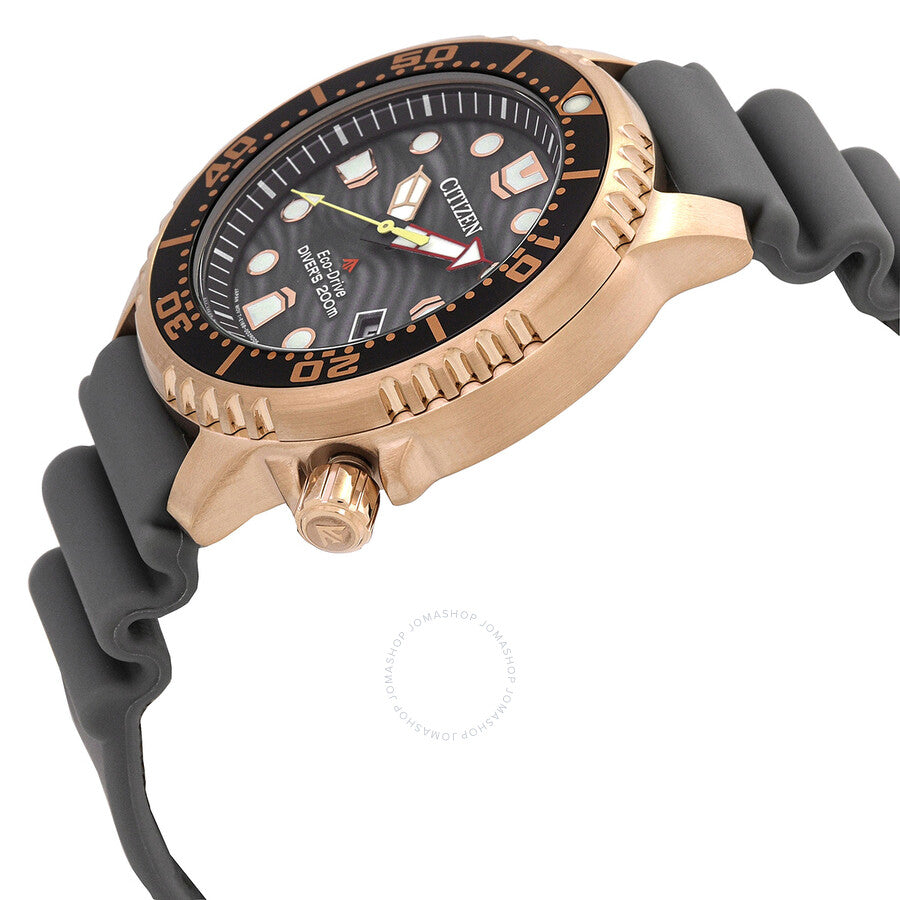 Citizen Promaster Dive Eco-Drive Gray Dial Men's Watch BN0163-00H - Dawson Watches #2