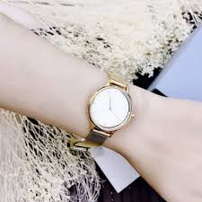 Skagen Anita All Gold Ladies Watch SKW1075