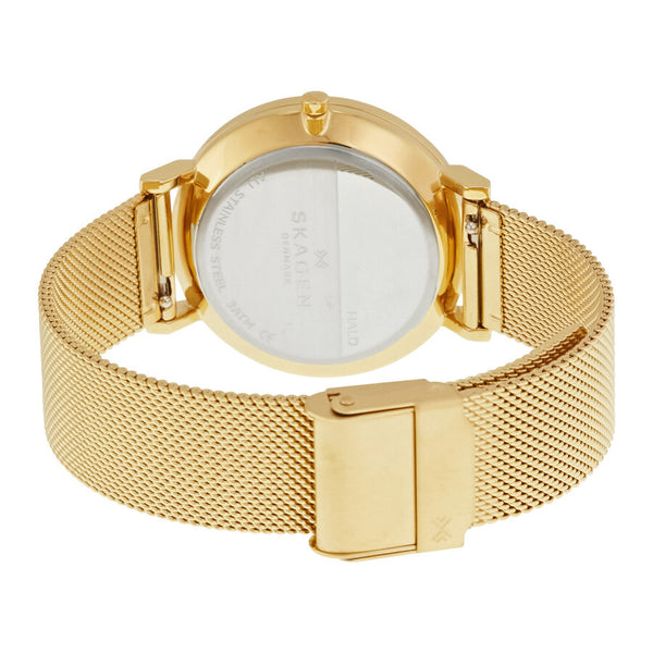 Skagen Hald Silver Dial Yellow Gold PVD Steel Ladies Watch SKW2509