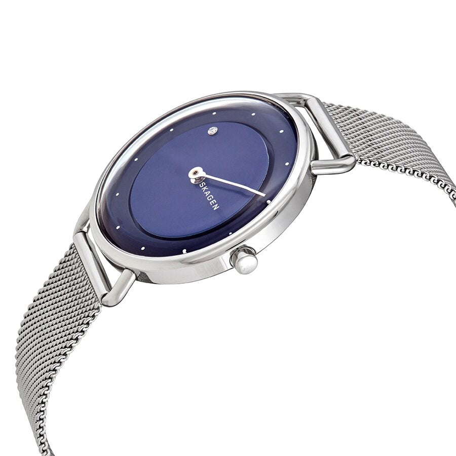 Skagen Horizont Rotating Diamond Quartz Blue Dial Ladies Watch SKW2738 - BigDaddy Watches #2