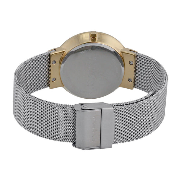 Skagen Leonora Gold-plated Silver Ladies Watch SKW2002